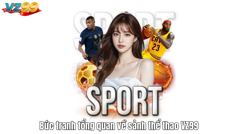 Bức tranh tổng quan về sảnh thể thao VZ99